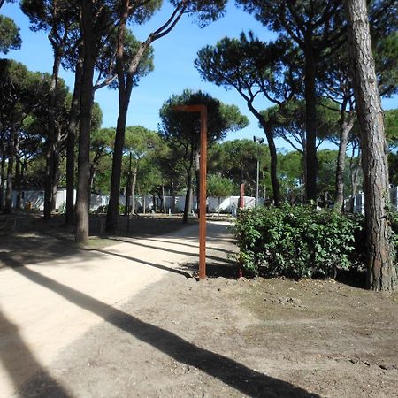 Albatross Mobile Homes On Camping Waikiki Lido di Jesolo Dış mekan fotoğraf